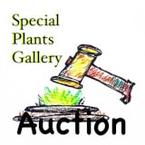 Special Plants Gallery